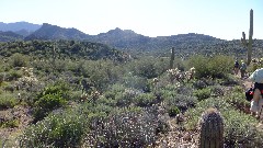 Canyon Lake Trail, AZ