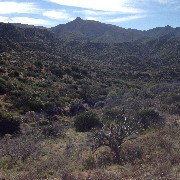 Reavis Mountain Trail, AZ