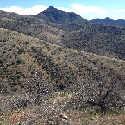 Reavis Mountain Trail, AZ