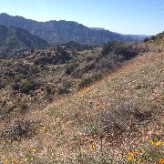 Reavis Mountain Trail, AZ