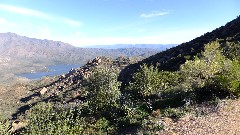 Reavis Mountain Trail, AZ