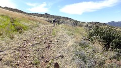 Ruth Bennett McDougal Dorrough; Reavis Mountain Trail, AZ