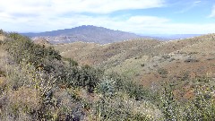 Reavis Mountain Trail, AZ