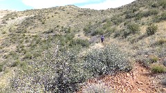 Reavis Mountain Trail, AZ