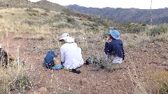 Reavis Mountain Trail, AZ