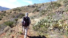 Ruth Bennett McDougal Dorrough; Reavis Mountain Trail, AZ