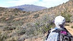 Reavis Mountain Trail, AZ