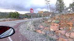 Mule Deer; Red Rock State Park, AZ