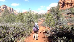 Ruth Bennett McDougal Dorrough; Boynton Canyon Trail, AZ