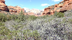 Boynton Canyon Trail, AZ