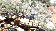 Boynton Canyon Trail, AZ