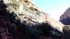 Boynton Canyon Trail, AZ