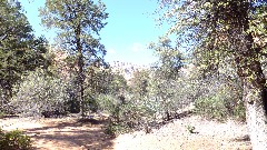 Boynton Canyon Trail, AZ