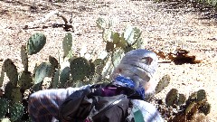 Ruth Bennett McDougal Dorrough; Boynton Canyon Trail, AZ