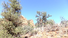 Boynton Canyon Vista Trail, AZ