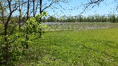 Hiking; BT; Maumee River