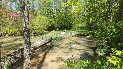 BT; Maumee River, OH