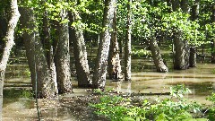 BT; Tow path trail; Maumee River; Waterville, OH