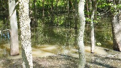 BT; Tow path trail; Maumee River; Waterville, OH