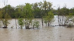 BT; Maumee River, OH