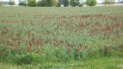 BT; North Coast Inland Trail; LIndsey, OH