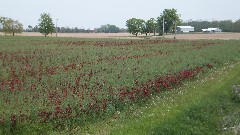 BT; North Coast Inland Trail; Lindsey, OH