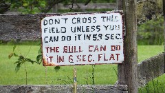 sign Don t cross this field unless you can do it in 5 9 sec 
The bull can do it in 6 sec flat; BT