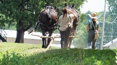 canal boat horses; BT; Ohio and Erie Canal Boat, OH