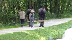 canal boat horses; BT; Ohio and Erie Canal, OH