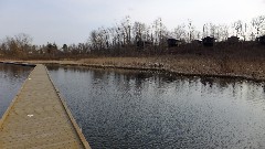 Punderson State Park; boardwalk; OH