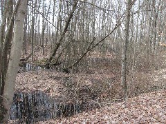 BT; Headwaters trail; Mantua Bog State Nature Preserve, OH, OH