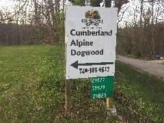 Alpine Cabin; Ohio Cave Area, OH