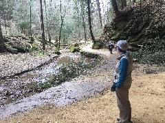 Ruth Bennett McDougal Dorrough; BT; Ash Cave, OH