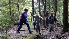 BT; Conkle s Hollow State Nature Preserve, OH