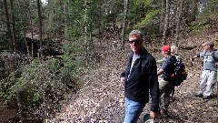 Denny Caneff; Conkle s Hollow State Nature Preserve, OH