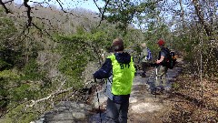 Randalll Roberts; BT; Conkle s Hollow State Nature Preserve, OH