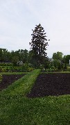 Buckeye Trail Fest; Zoar Gardens, OH; BT