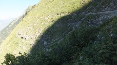 CDT; Highline Trail; Glacier National Park, MT