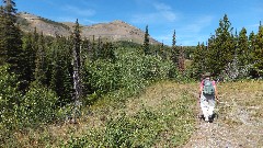 CDT; Montana; East Glacier