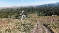 CDT; Montana; East Glacier