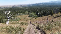 CDT; Montana; East Glacier