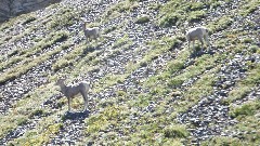 CDT; Montana; Scenic Point