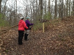 Ruth Bennett McDougal Dorrough; Lyn Jacobs; Abraham Lincoln Park (Irondequoit)