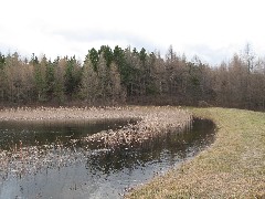 Bare Hill Hiking Day Trips Pond