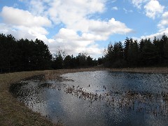 Bare Hill Hiking Day Trips Pond