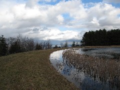 Bare Hill Hiking Day Trips Pond