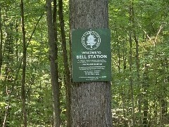 Day; Bell Station on Cayuga Lake