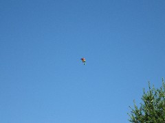 Motorized Hang Gliders; Bergen Swamp