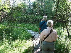 Hiking; Day Trips; Ruth Bennett McDougal Dorrough; Jean Bub; Bergen Swamp