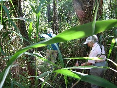 Hiking; Day Trips; Jean Bub; Ruth Bennett McDougal Dorrough; Bergen Swamp